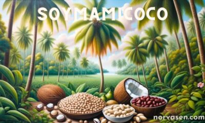 soymamicoco