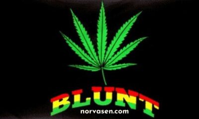 blunturi