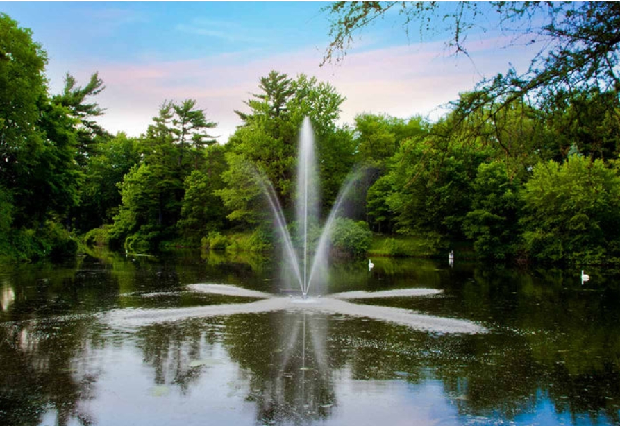 Floating Pond