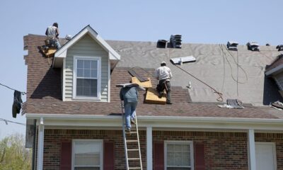 Roof Windows