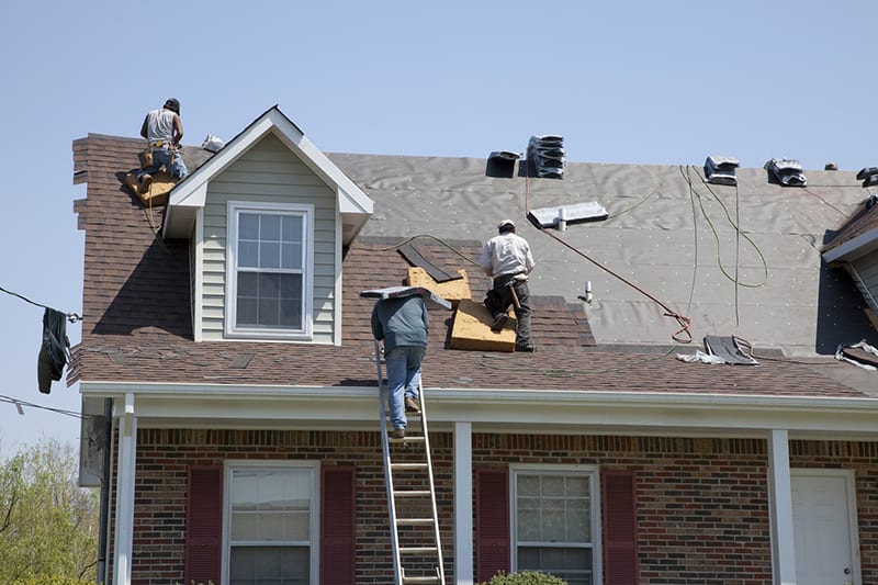 Roof Windows