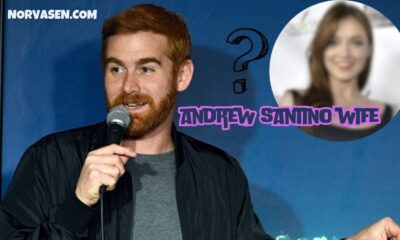 andrew santino wife