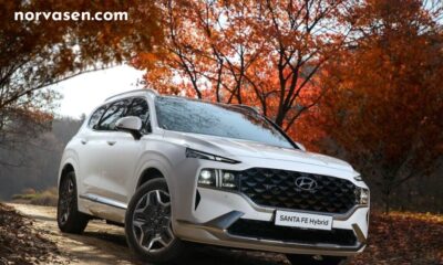 Top 9 Hyundai SUV Models by Size