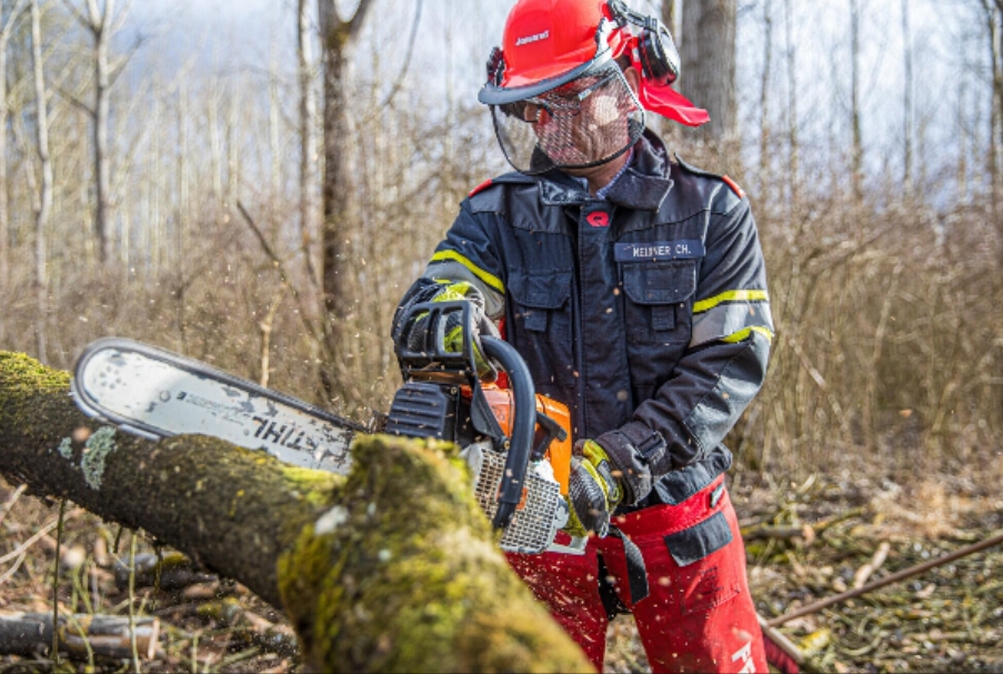 Tree Removal