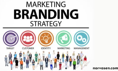 Brand and Marketing Strategy