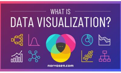 Data Visualization