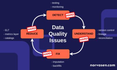 Data Quality Issues