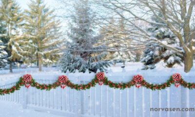 Vinyl Fence