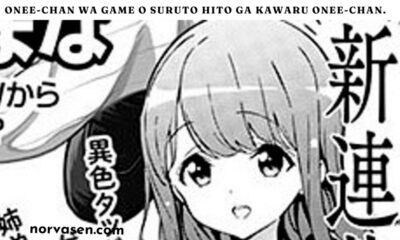 onee-chan wa game o suruto hito ga kawaru onee-chan.
