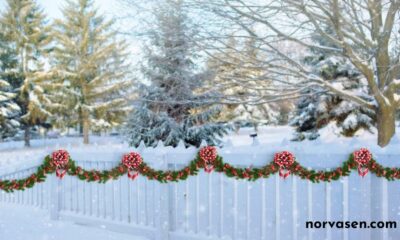 White Vinyl Fence