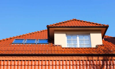 Roof Painting