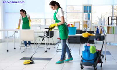 Hiring Professionals for Recurring House Cleaning