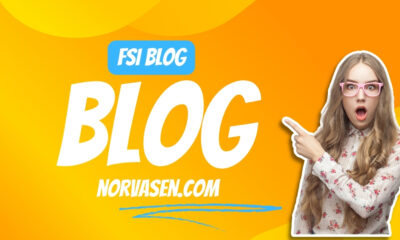 fsi blog