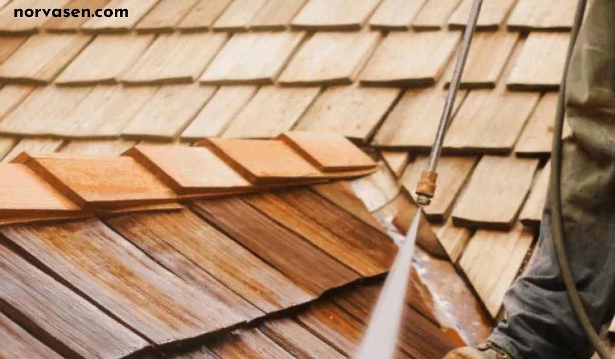 Importance of Regular Roof Cleaning