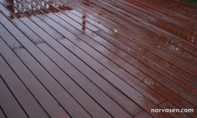 Deck Paint