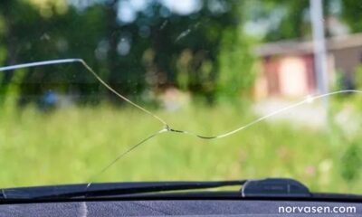 Windshield Repair Florida