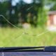 Windshield Repair Florida