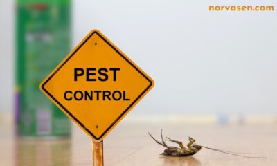 Expert Pest Control