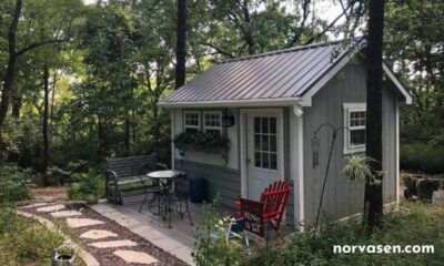 Shed House Designs