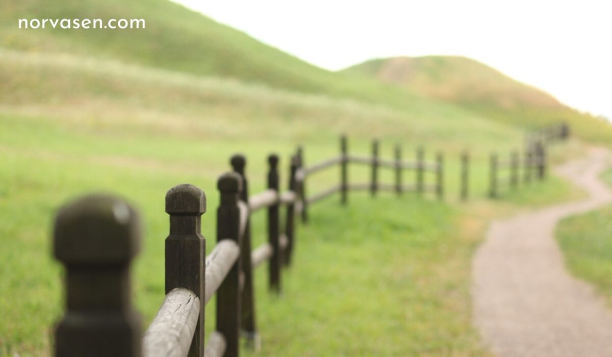 Durable Fence Replacement