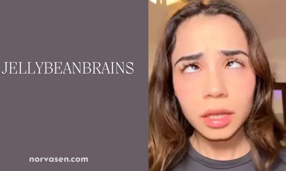 From Zero to Viral Sensation The Rise of Jellybeanbrains - Norvasen
