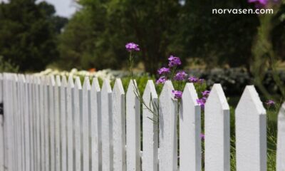 Hiring a Professional Fence Specialist