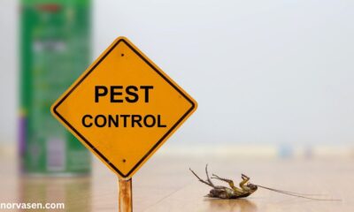 Professional Fumigation Service for Pest Control