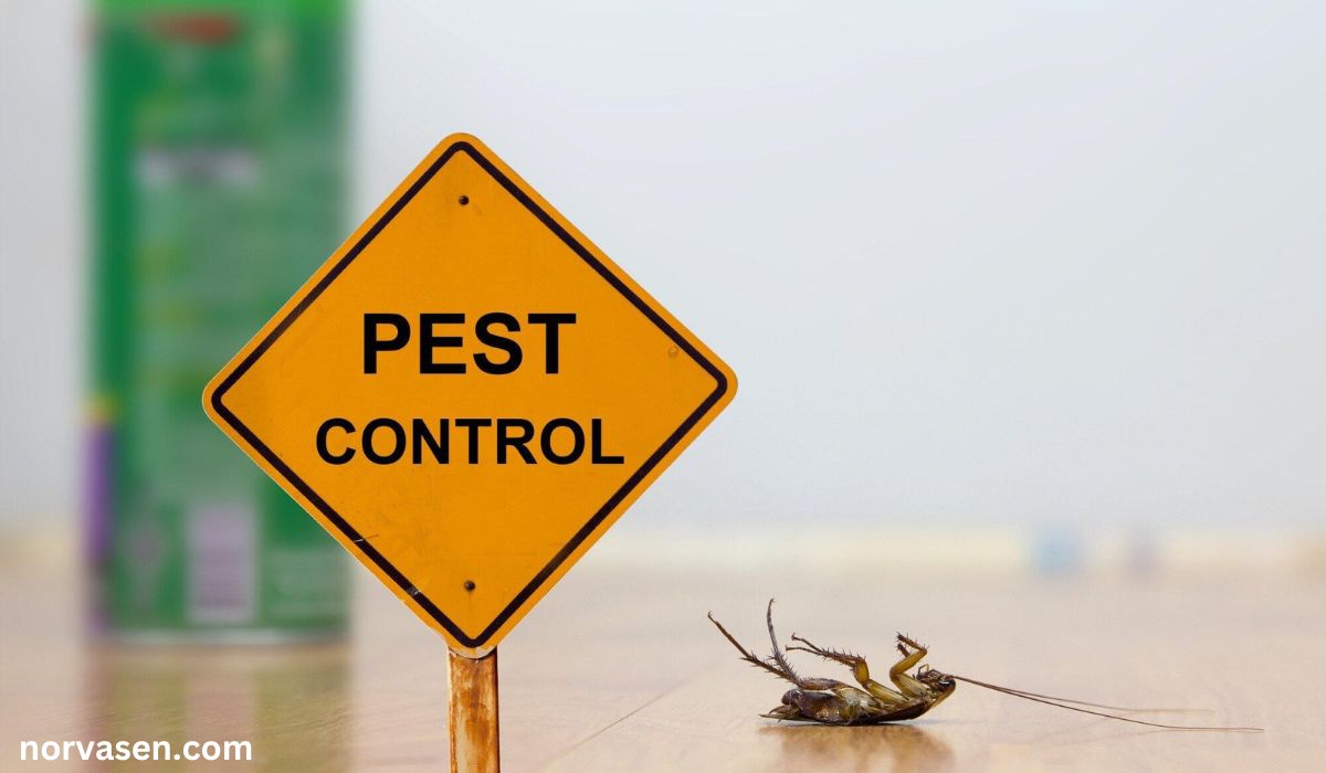 Professional Fumigation Service for Pest Control