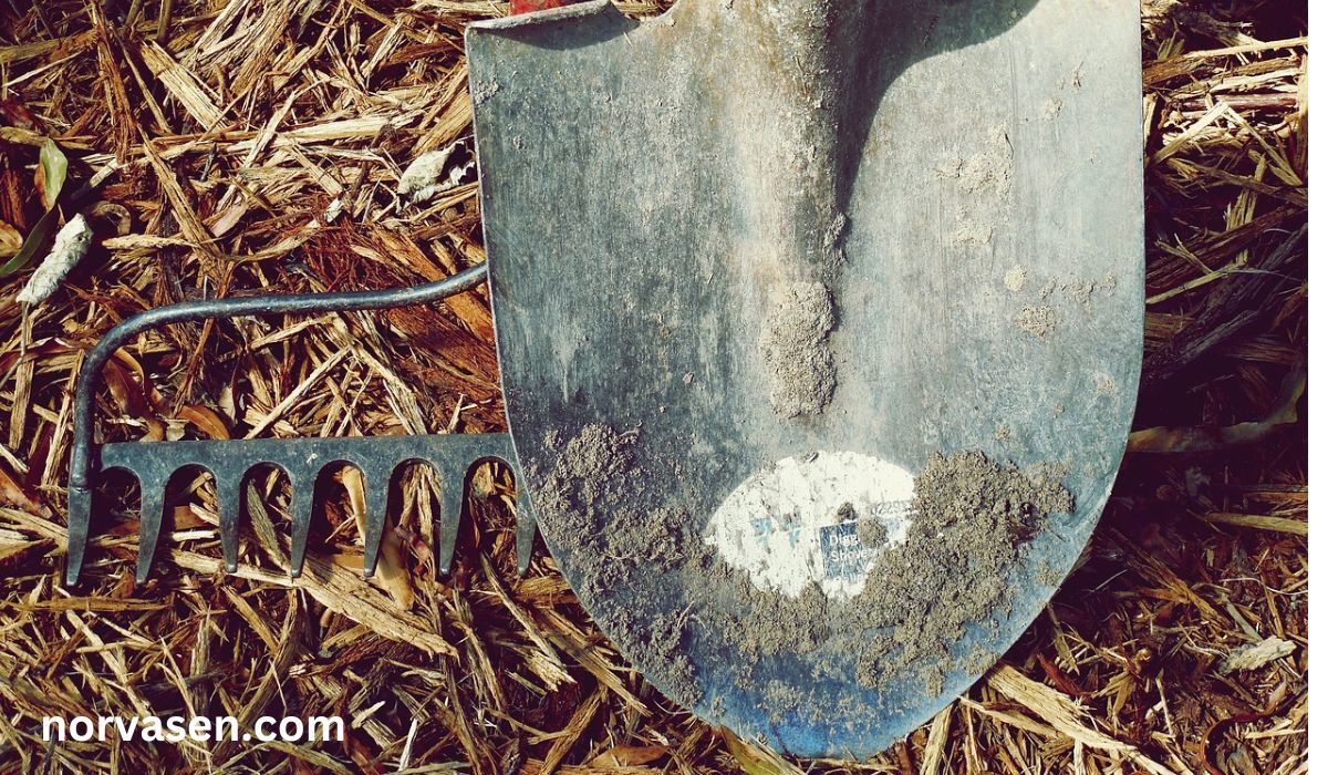 Yard Cleanup Tools