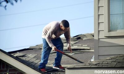 Life of Your Roof