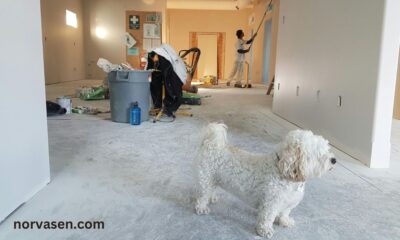 Completing a Home Renovation