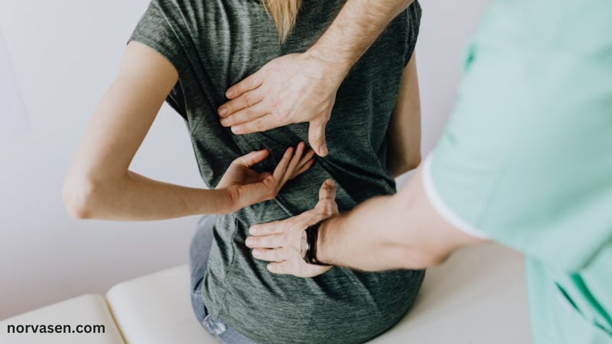 8 Ways Chiropractors Contribute to Better Health