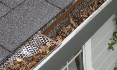 Gutter Cleaning Contractors vs. DIY