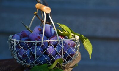 Booze Gift Basket