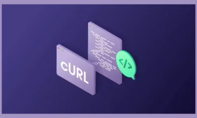 How to Analyze HTTP Headers With cURL