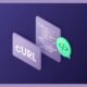 How to Analyze HTTP Headers With cURL