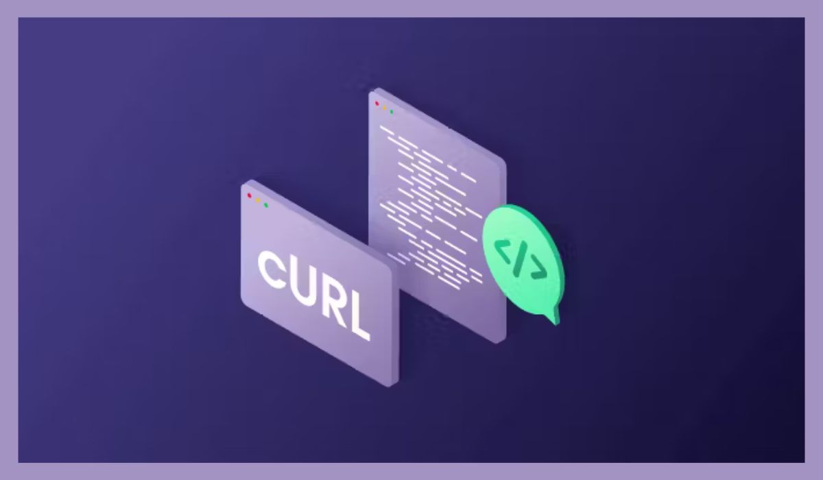 How to Analyze HTTP Headers With cURL