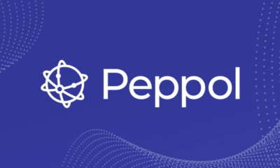 Choosing a Peppol Access Point in Belgium: 6 Enterprise Capabilities to Compare