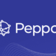 Choosing a Peppol Access Point in Belgium: 6 Enterprise Capabilities to Compare