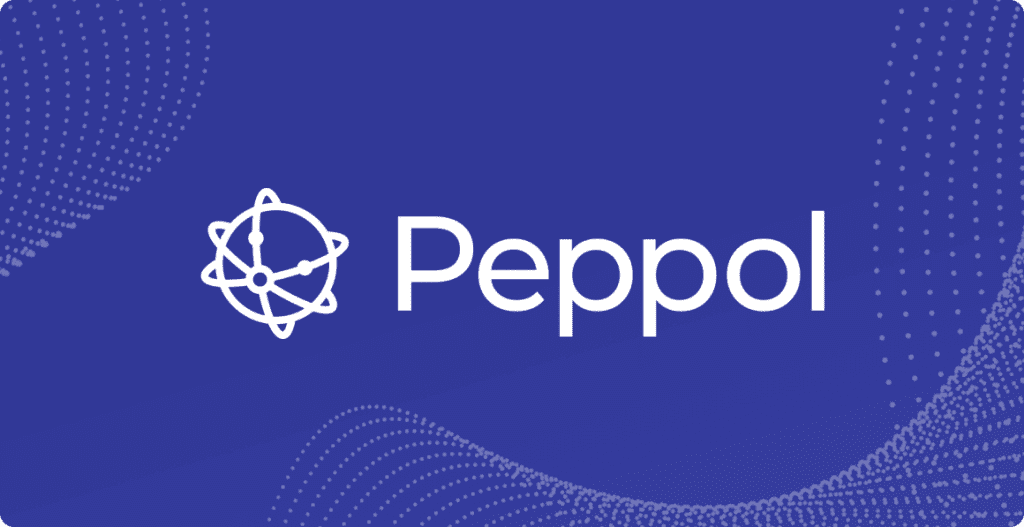 Choosing a Peppol Access Point in Belgium: 6 Enterprise Capabilities to Compare